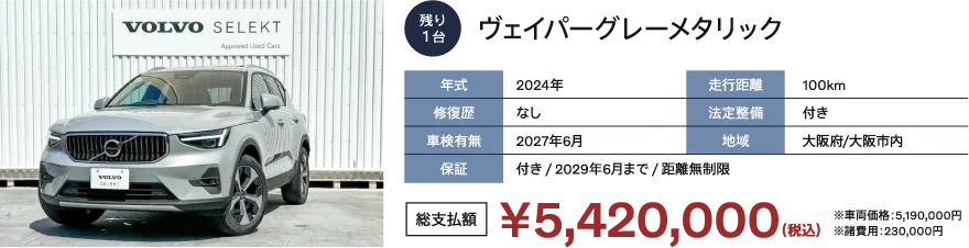 ヴェイパーグレーメタリック　
                      年式：2024年
                      修復歴：なし
                      車検有無：2027年6月
                      走行距離：100km
                      法定整備：付き
                      地域：大阪府/大阪市内
                      保証：付き / 2029年6月まで / 距離無制限
                      総支払額：￥5,427,000（税込）※車両価格：5,198,000円 ※諸費用 229,000円
