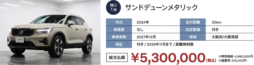 サンドデューンメタリック
                      年式：2024年
                      修復歴：なし
                      車検有無：2027年12月
                      走行距離：30km
                      法定整備：付き
                      地域：大阪府/大阪南部
                      保証：付き / 2029年11月まで / 距離無制限
                      総支払額：￥5,800,000（税込）※車両価格：5,490,000円 ※諸費用 310,000円