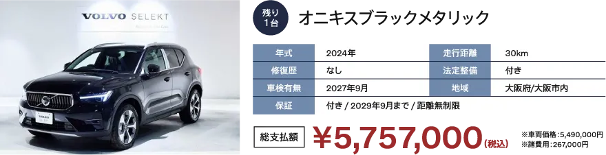 オニキスブラックメタリック
                      年式：2024年
                      修復歴：なし
                      車検有無：2027年9月
                      走行距離：30km
                      法定整備：付き
                      地域：大阪府/大阪市内
                      保証：付き / 2029年9月まで / 距離無制限
                      総支払額：￥5,757,000（税込）※車両価格：5,490,000円 ※諸費用：267,000円